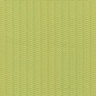 Kasmir DIFFUSION        CITRUS          