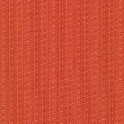 Kasmir DIFFUSION        CORAL           