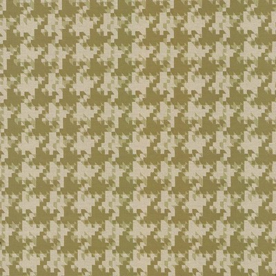 Kasmir DOG PARK         CITRUS          