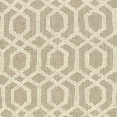 Kasmir DRUID            PARCHMENT       