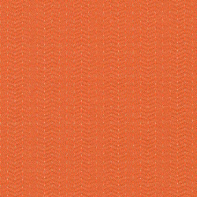 Kasmir ECCO CHIC        PAPAYA          