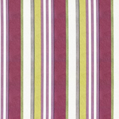 Kasmir EDGEMERE STRIPE  DAMSON          