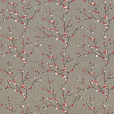 Kasmir ELDERBERRY       BUBBLEGUM       