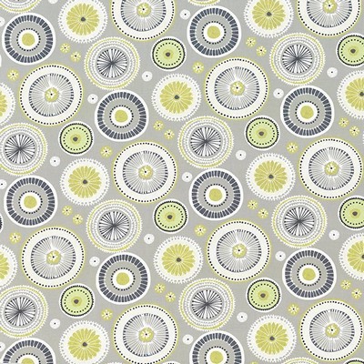 Kasmir ENLIGHTENED      MIMOSA          