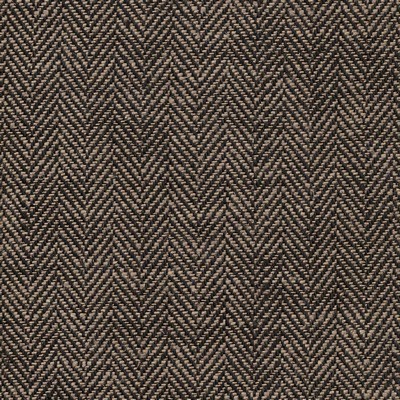 Kasmir EPOCH            LOGWOOD         