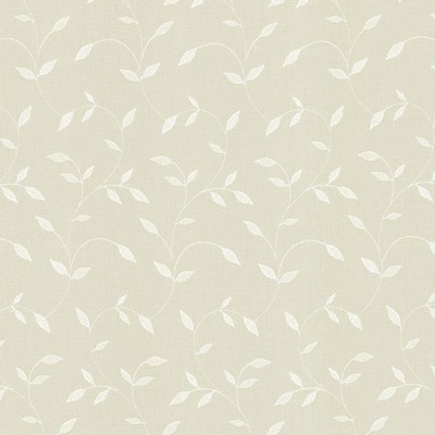 Kasmir FAMILY TREE      CHAMPAGNE       