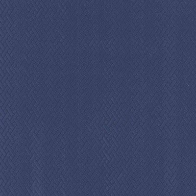 Kasmir FIDELIO          INDIGO          