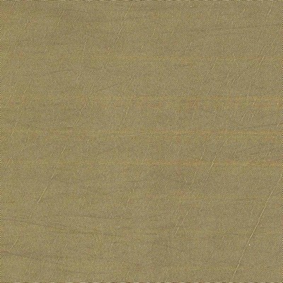 Kasmir FS189            GRASS           