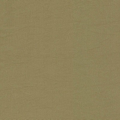 Kasmir FS189            SAGE            