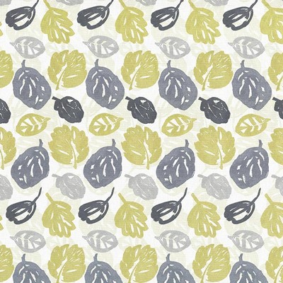 Kasmir GARDEN SHOW      MIMOSA          