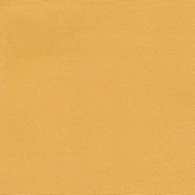 Kasmir GARNER           AMBER           