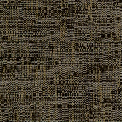 Kasmir GENO             BLACK           