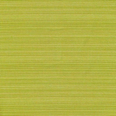 Kasmir HILCRST PLAIN IO FROND           