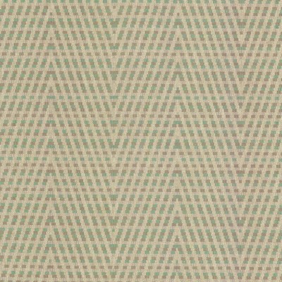 Kasmir HOT TO TROT      DRIFTWOOD       