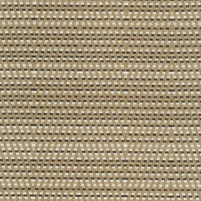 Kasmir HOT TO TROT      PLATINUM        