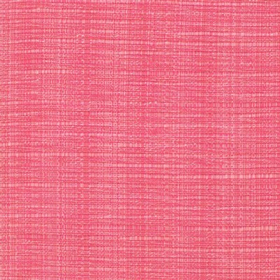 Kasmir IN FLUX          BUBBLE GUM      