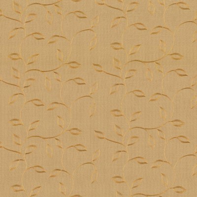 Kasmir IVY LEAGUE       HEMP            