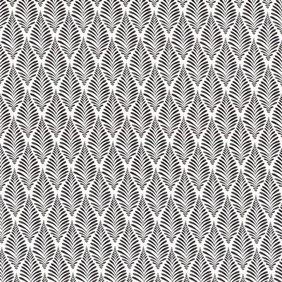 Kasmir JATA             EBONY           