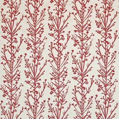 Kasmir JIN JIANG        FLAME           