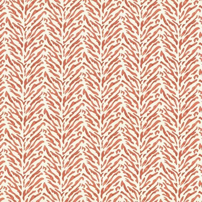 Kasmir JUNGLE NIGHTS    MALIBU          