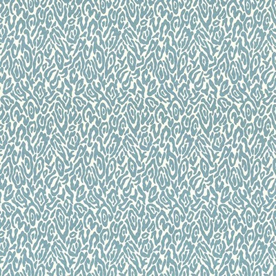 Kasmir KAFU             BAY BREEZE      