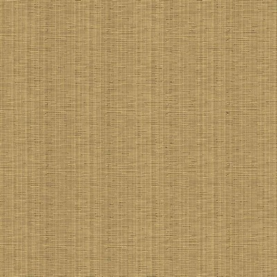 Kasmir KENSLI           NUGGET          