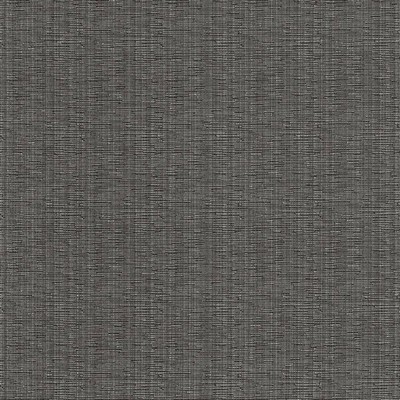 Kasmir KENSLI           PEWTER          