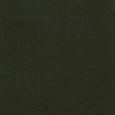 Kasmir KIMBERLY         RAWHIDE         