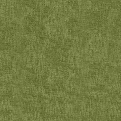 Kasmir KINTU            LEAF            