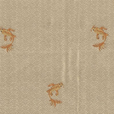 Kasmir KOI POND         MING GOLD       