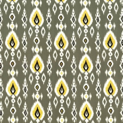 Kasmir KUNDA            TITANIUM        