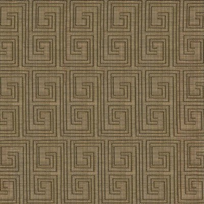 Kasmir LABYRINTH        MOSS            