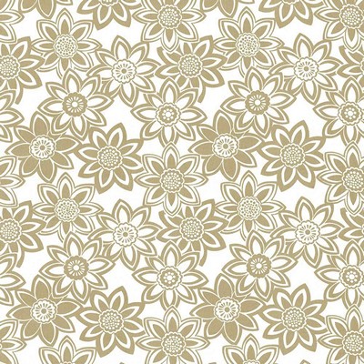 Kasmir MAHINA           DOVE            