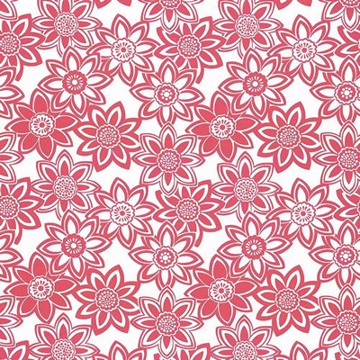 Kasmir MAHINA           HOT PINK        