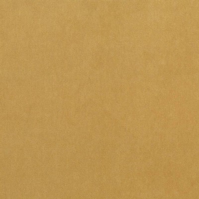 Kasmir MAISON ROYALE    ANTIQUE GOLD    