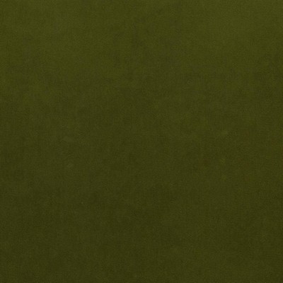 Kasmir MAISON ROYALE    FOREST          