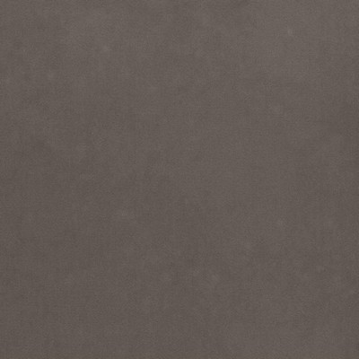 Kasmir MAISON ROYALE    MINK            