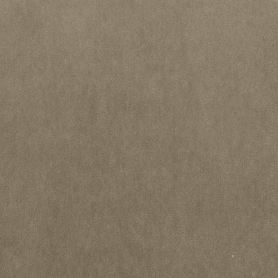 Kasmir MAISON ROYALE    MUSHROOM        