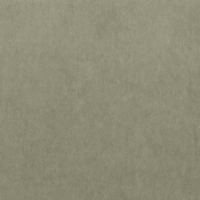 Kasmir MAISON ROYALE    PLATINUM        