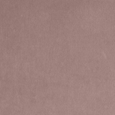 Kasmir MAISON ROYALE    SMOKEY AMETHYST 