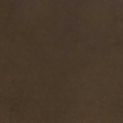 Kasmir MAISON ROYALE    TRUFFLE         