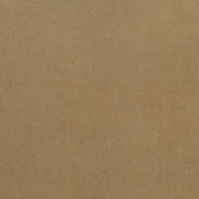 Kasmir MAISON ROYALE    TUSSAH          