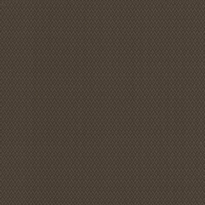 Kasmir MAKAI            CHOCOLATE       