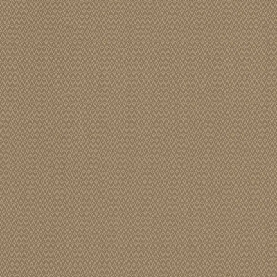 Kasmir MAKAI            MOONLIGHT       