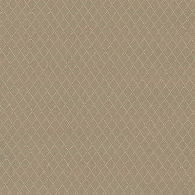 Kasmir MARTINEZ         MACAROON        