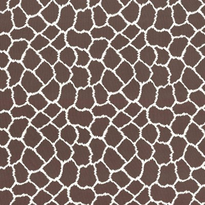 Kasmir MASAI            LATTE           