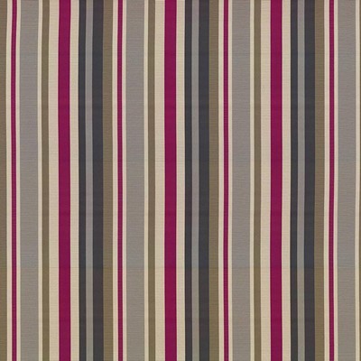 Kasmir MIRANDA STRIPE   TREASURE        