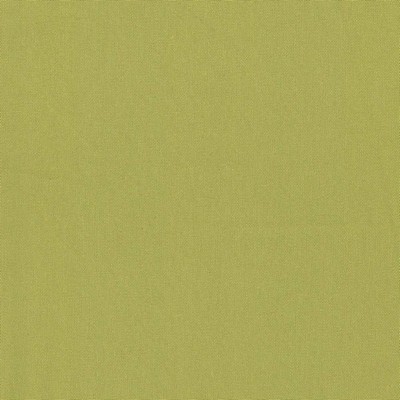 Kasmir NONCHALANT       AVOCADO         