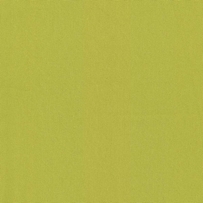 Kasmir NONCHALANT       LIME            