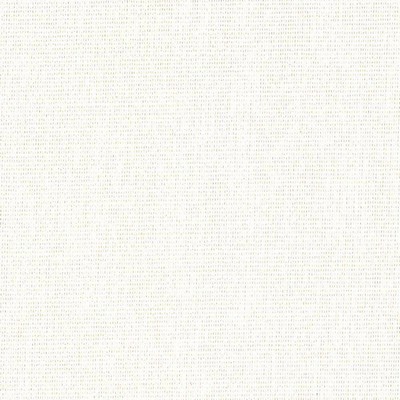 Kasmir NONCHALANT       OYSTER          